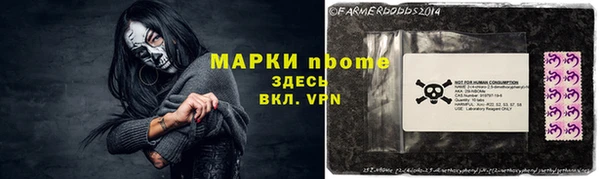 дурь Бородино