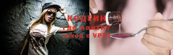 дурь Бородино