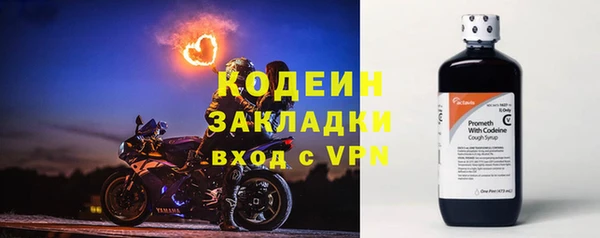 дурь Бородино