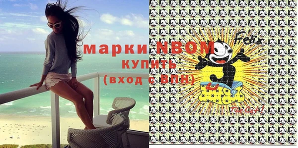 дурь Бородино