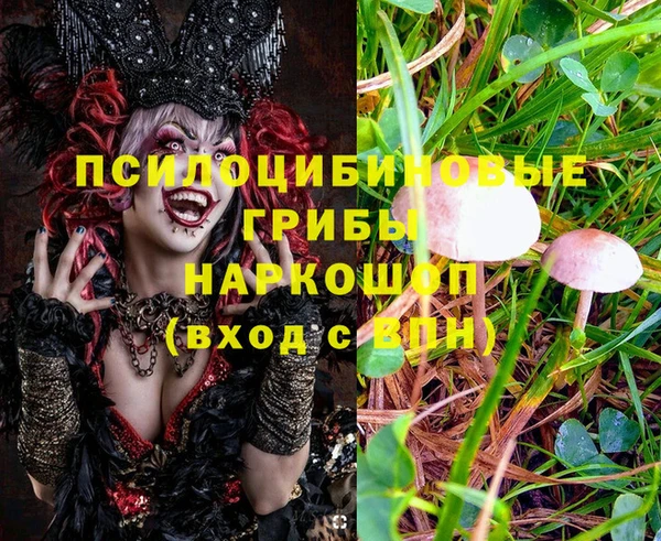 дурь Бородино