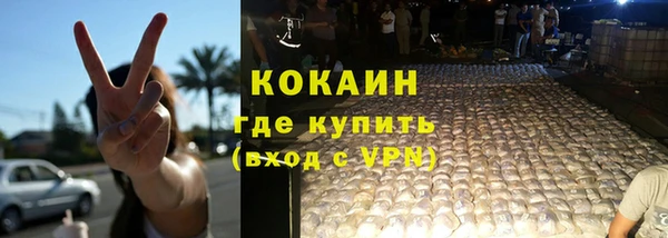 дурь Бородино