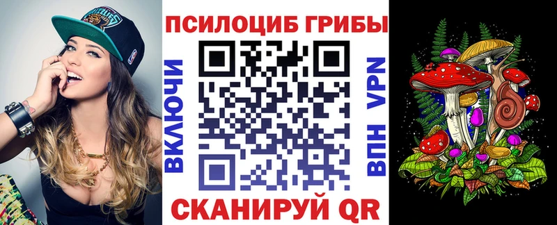 сколько стоит  Козьмодемьянск  mega зеркало  Псилоцибиновые грибы Cubensis 